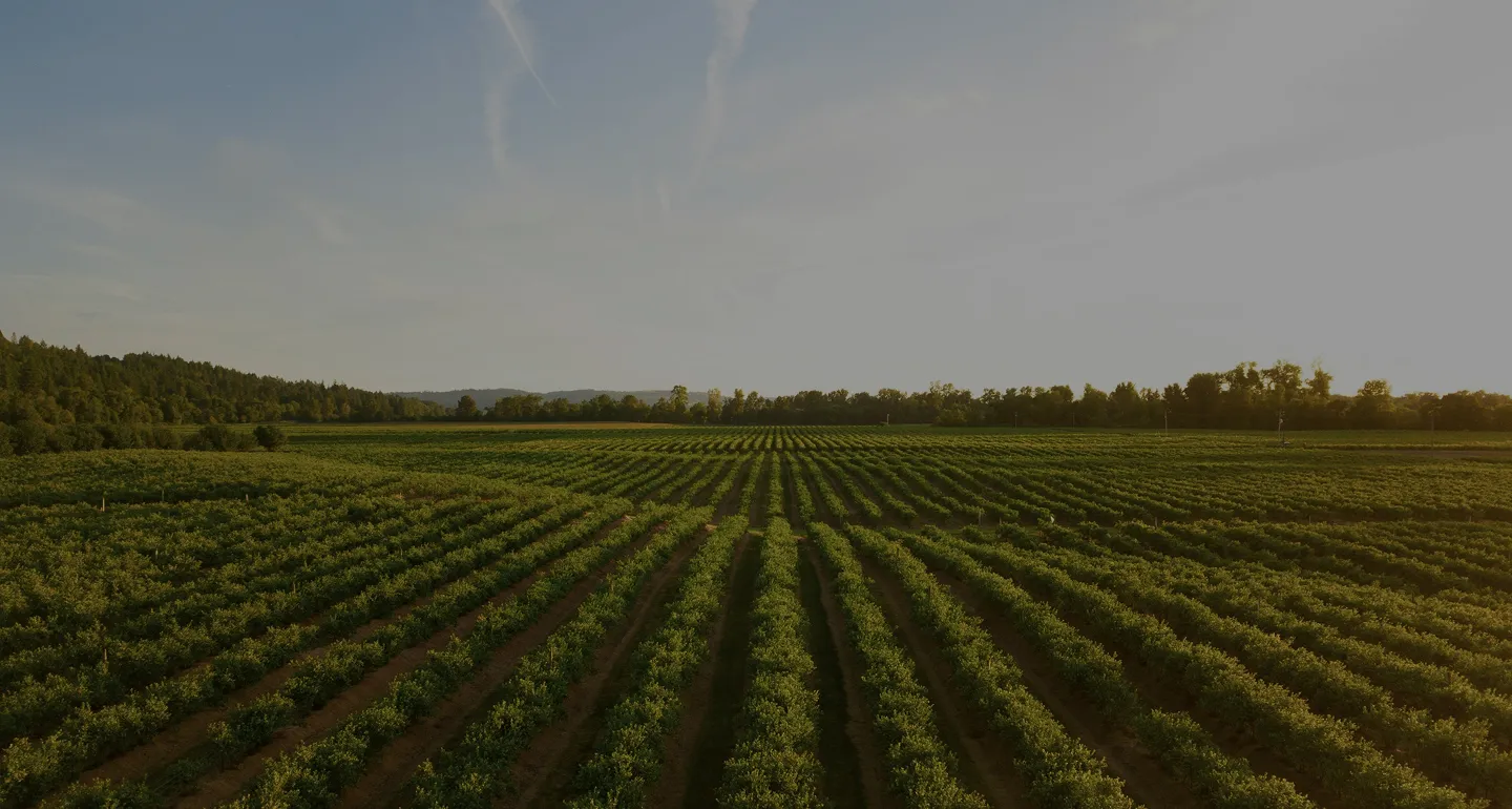 Agriculture