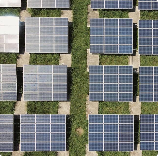Our Sustainability Framework